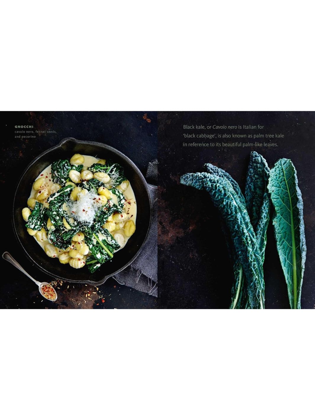 Vibrant Vegetables: 100+ Delicious Recipes Using 20+ Common Veggies by Janneke Philippi | Twentyseven Toronto