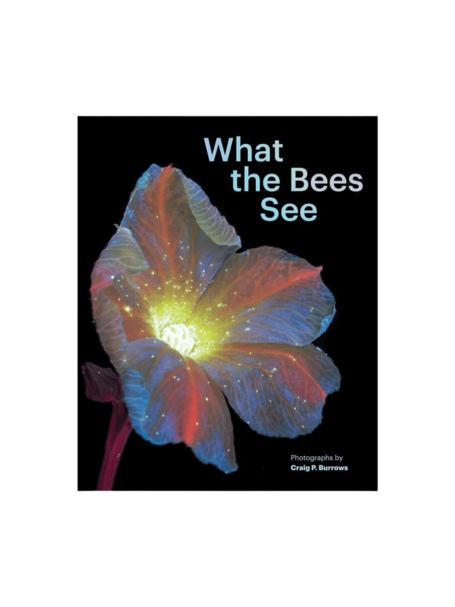 Twentyseven Toronto - What the Bees See by Craig P. Burrows