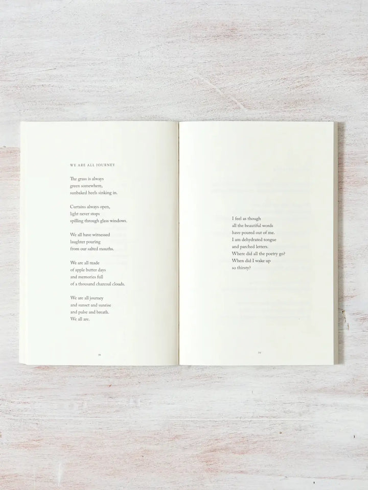 An open spread of When The Bee Stings by Raquel Franco displays contemporary poetry arranged in minimalist text blocks across pages 76 and 77 | Twentyseven Toronto
