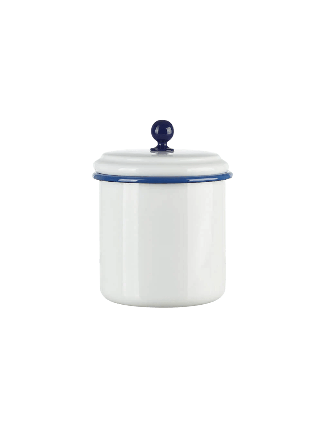 White/Blue Medium Storage Container