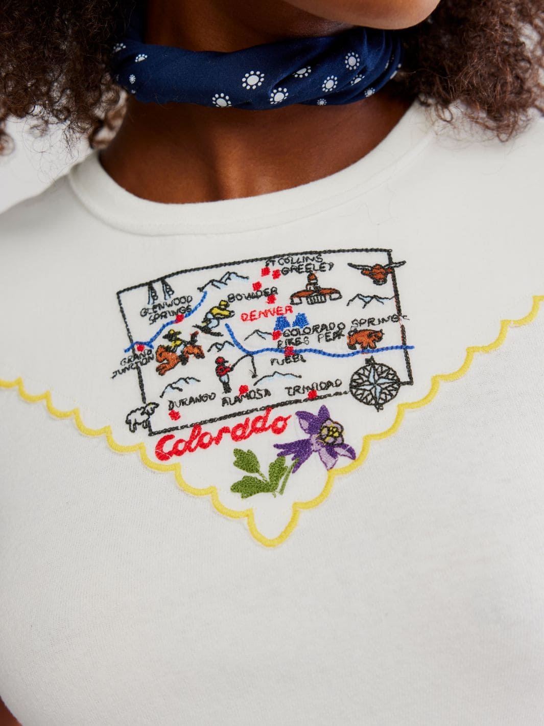 Free People We the Free Wild Country Tee in Colorado Combo | Twentyseven Toronto
