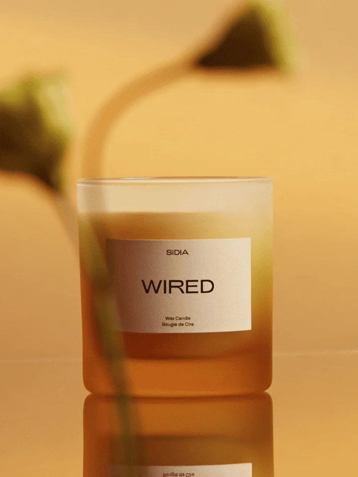 Sidia Wired Candle | Twentyseven Toronto