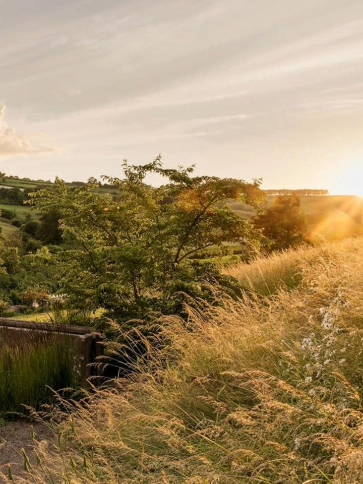 Wonderlands: British Garden Designers at Home by Clare Coulson | Twentyseven Toronto