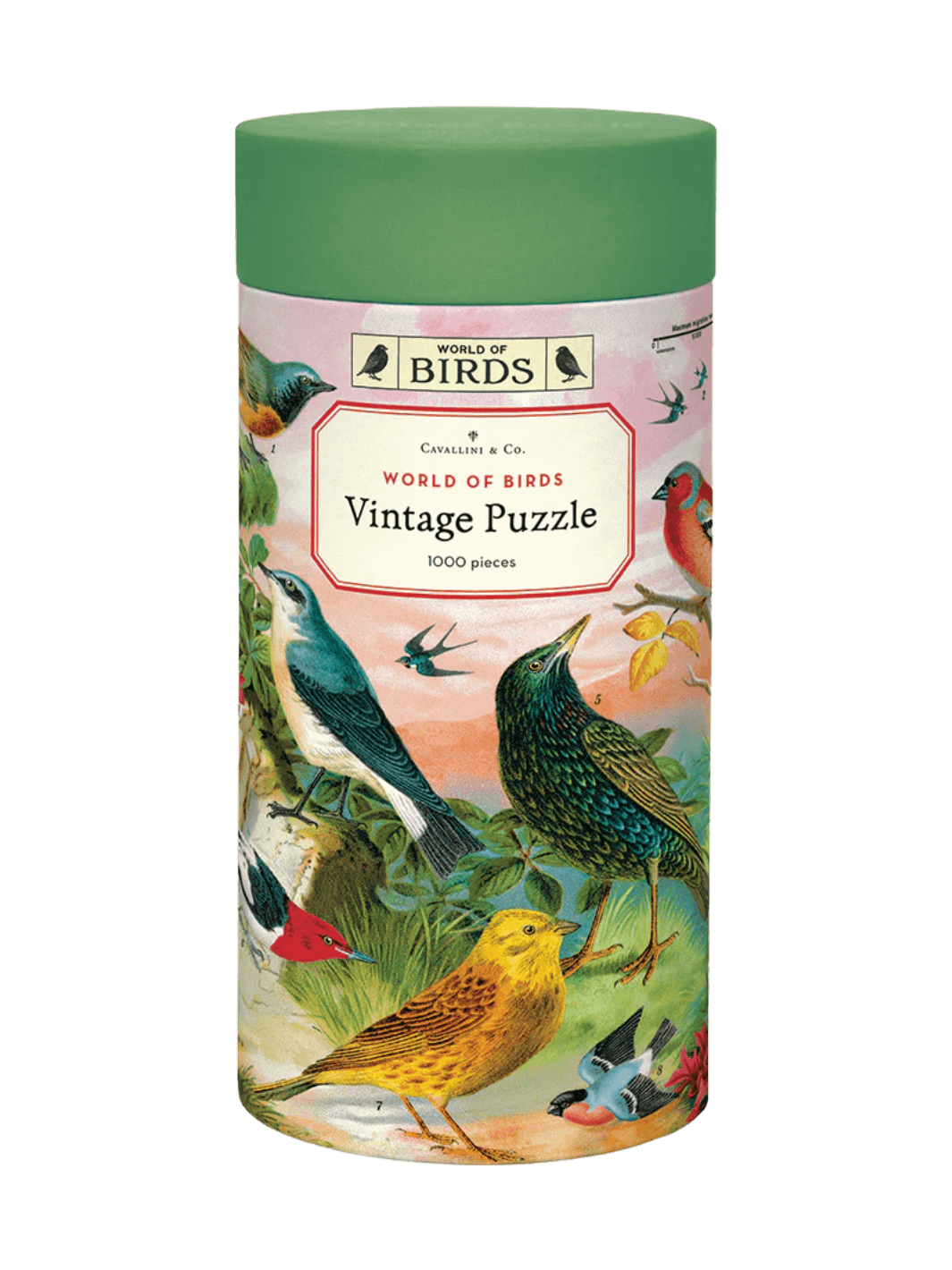 Cylindrical paper tube for the Cavallini Paper & Co World of Birds 1000 Piece Puzzle with a green cap, highlighting a central title card surrounded by vintage drawings of birds | Twentyseven Toronto