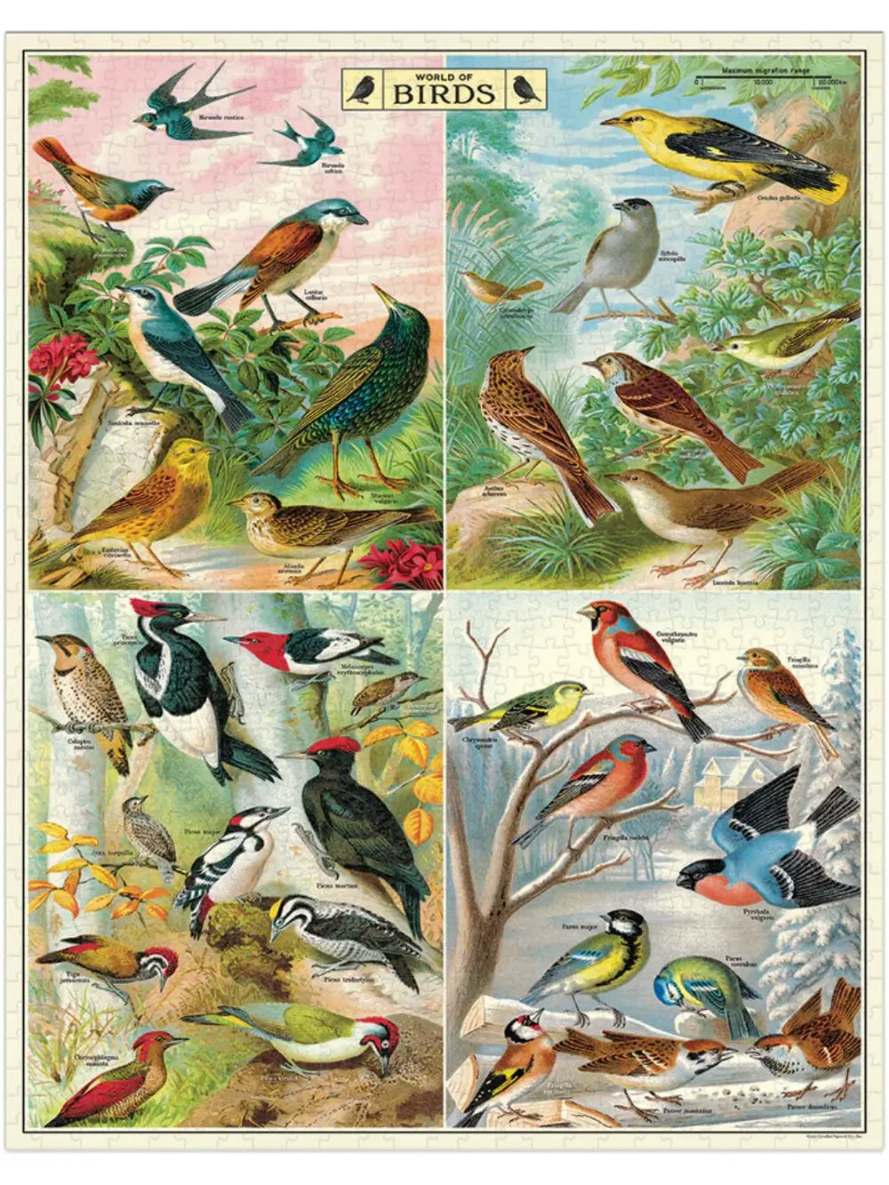 Completed Cavallini Paper & Co World of Birds 1000 Piece Puzzle showing a vibrant collage divided into four quadrants, each filled with detailed, antique-style scientific illustrations of diverse bird species | Twentyseven Toronto