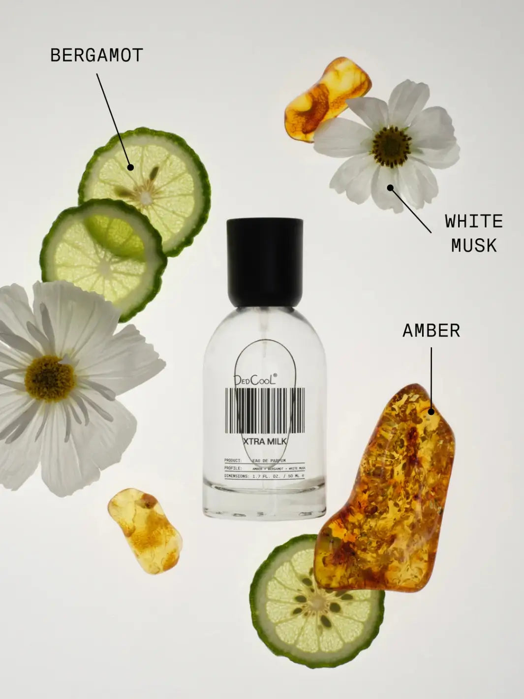 A 50ml full size bottle of Dedcool Xtra Milk Fragrance floating among raw scent ingredients, including sliced bergamot, amber pieces, and white musk flowers | Twentyseven Toronto