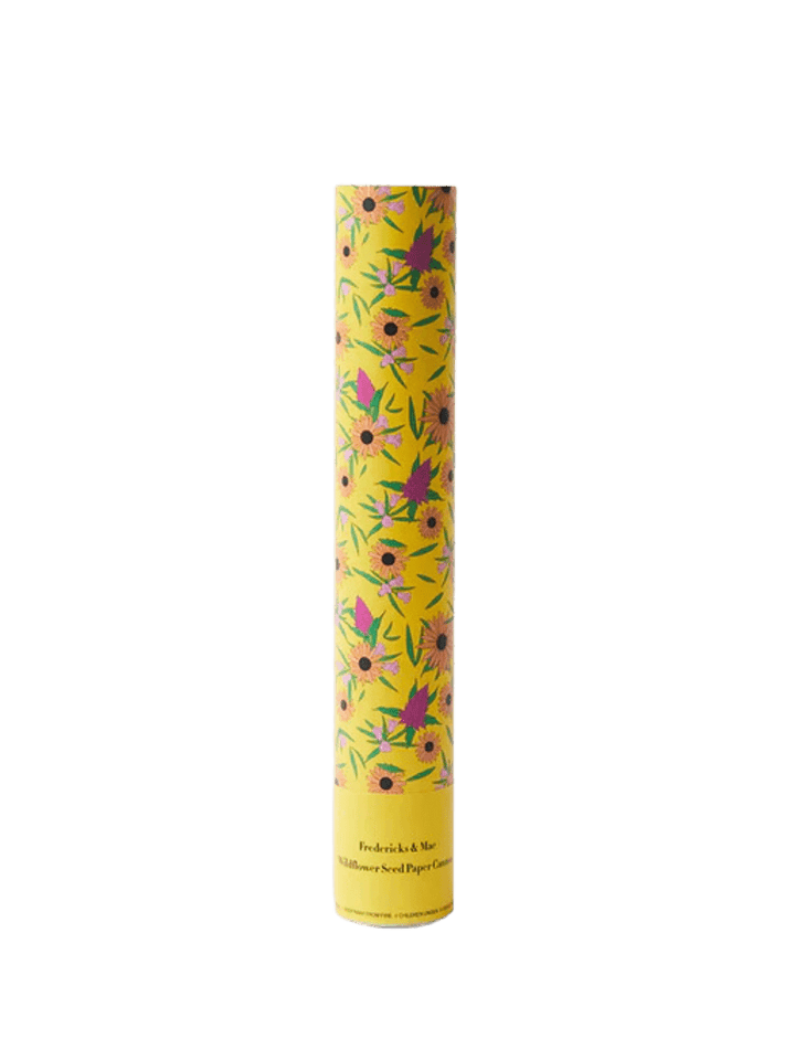 Fredericks & Mae Yellow Wildflower Seed Paper Cannon | Twentyseven Toronto