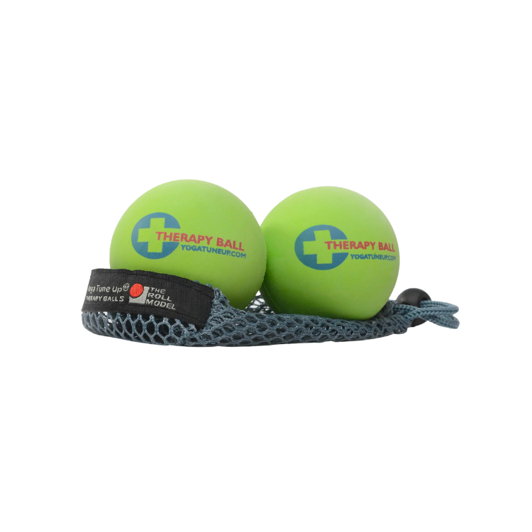 Twentyseven Toronto - Tune Up Fitness Therapy Balls with Tote