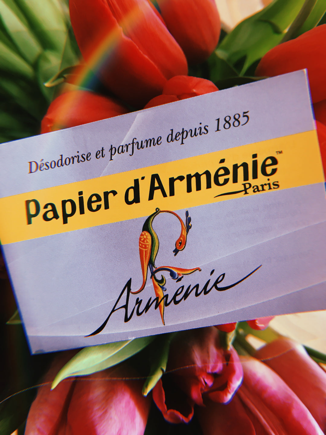 Papel de Armenia - Papier d´Arménie
