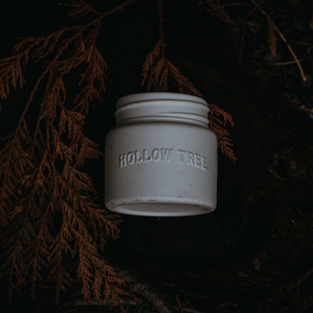 Twentyseven Toronto - Hollow Tree Golden Spruce Candle - Full Size 9oz